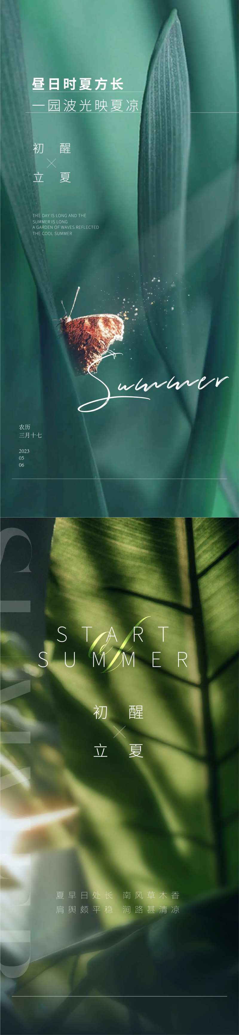 立夏节气海报   -采灵感-cailinggan.com