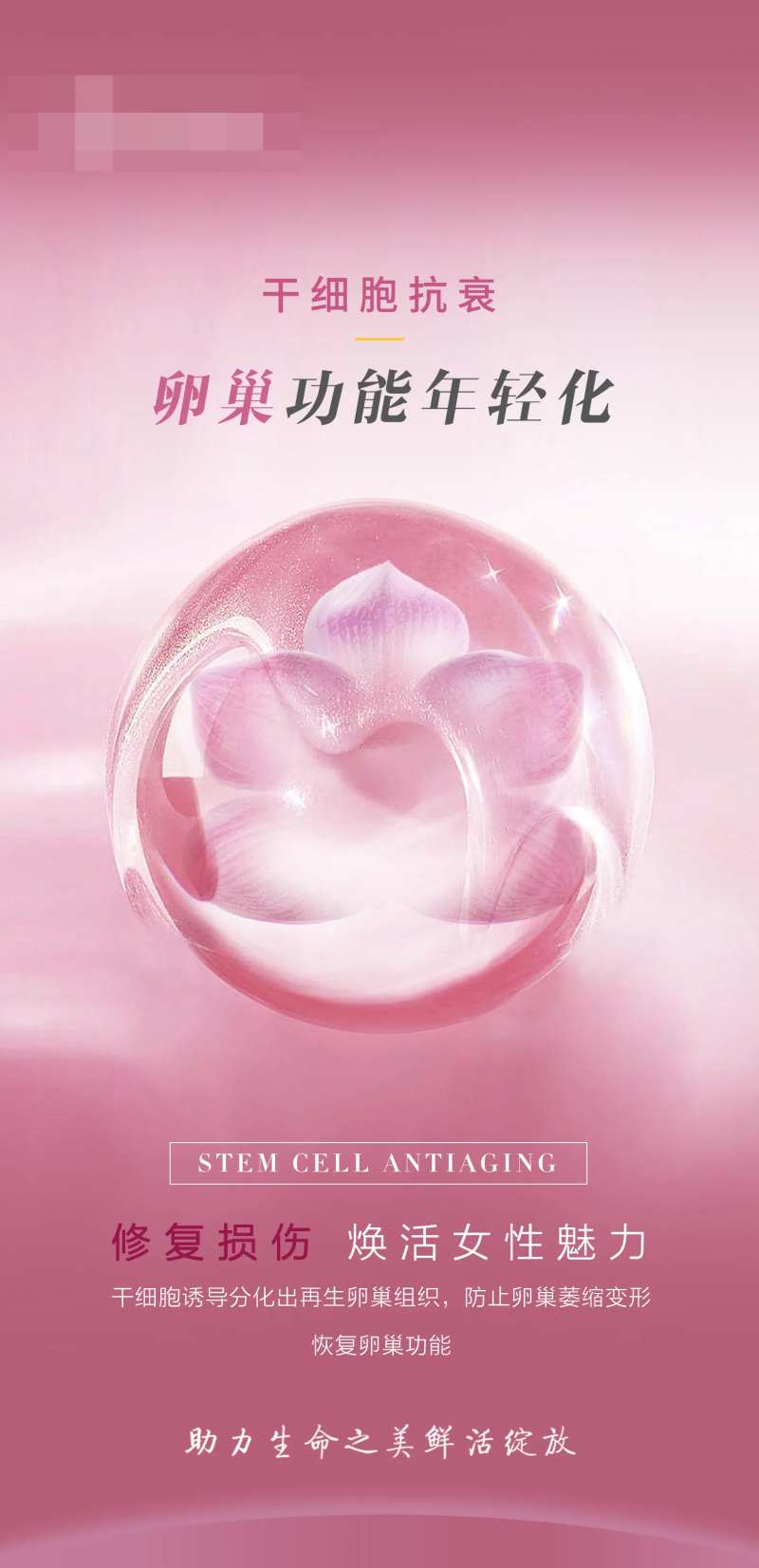 卵巢功能年轻化 -采灵感-cailinggan.com