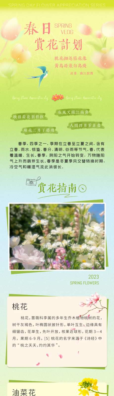 春日赏花-采灵感-https://www.cailinggan.com/