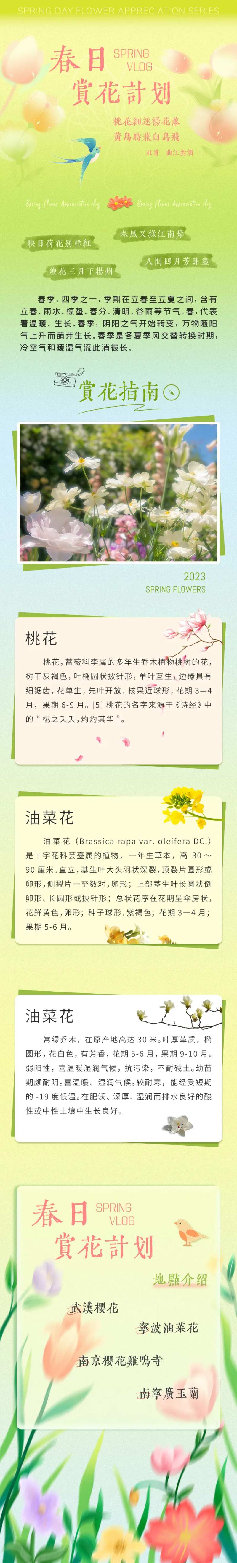 春日赏花-采灵感-cailinggan.com
