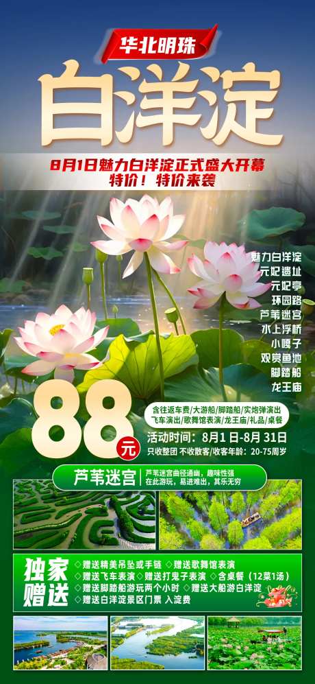 白洋淀旅游海报-采灵感-https://www.cailinggan.com/