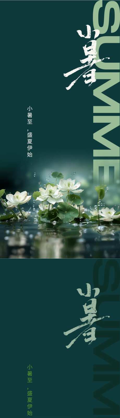 二十四节气小暑海报-采灵感-https://www.cailinggan.com/