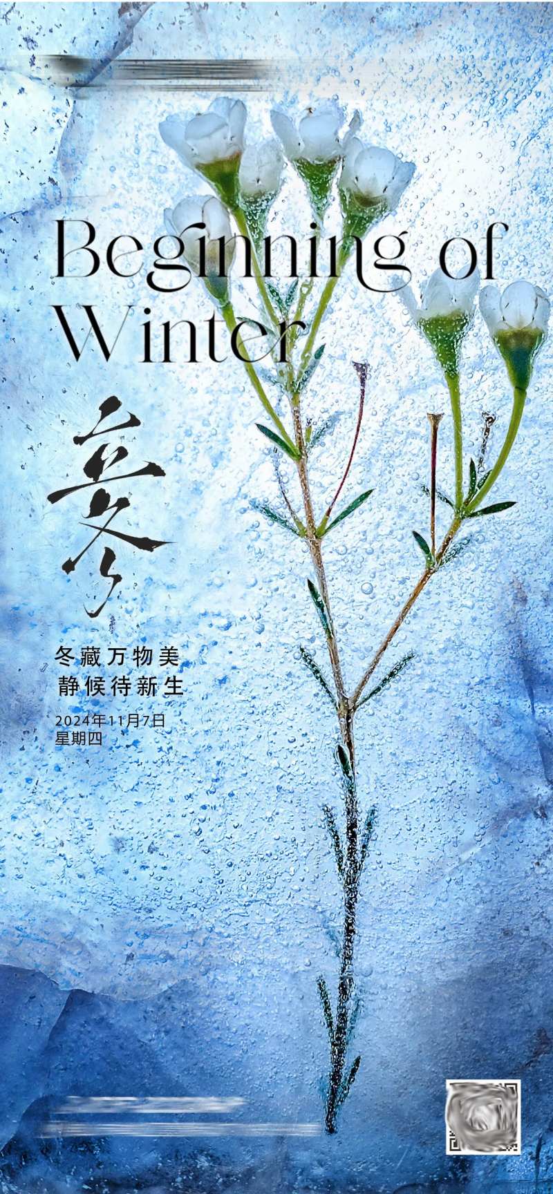 立冬冬天节气海报-采灵感-cailinggan.com