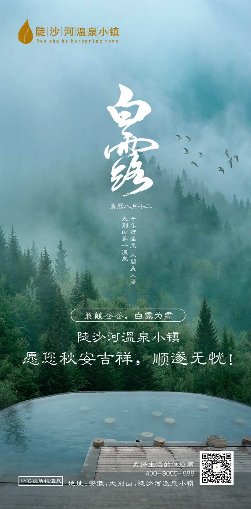 白露海报-采灵感-cailinggan.com