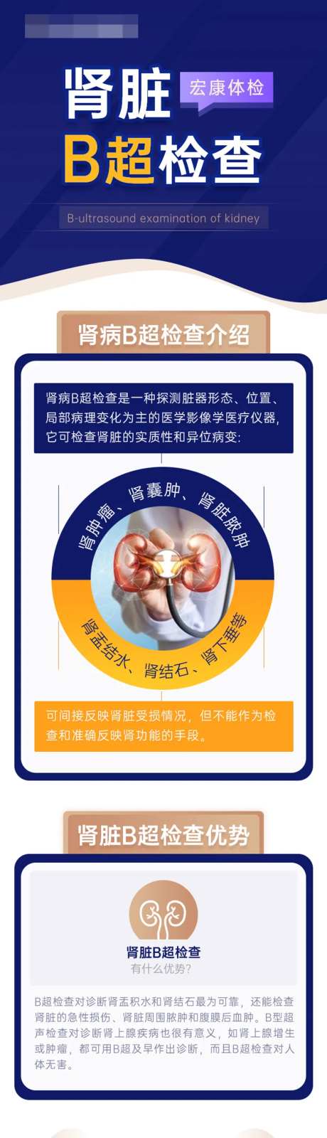 医疗外科体检肾脏B超检查专题-采灵感-https://www.cailinggan.com/