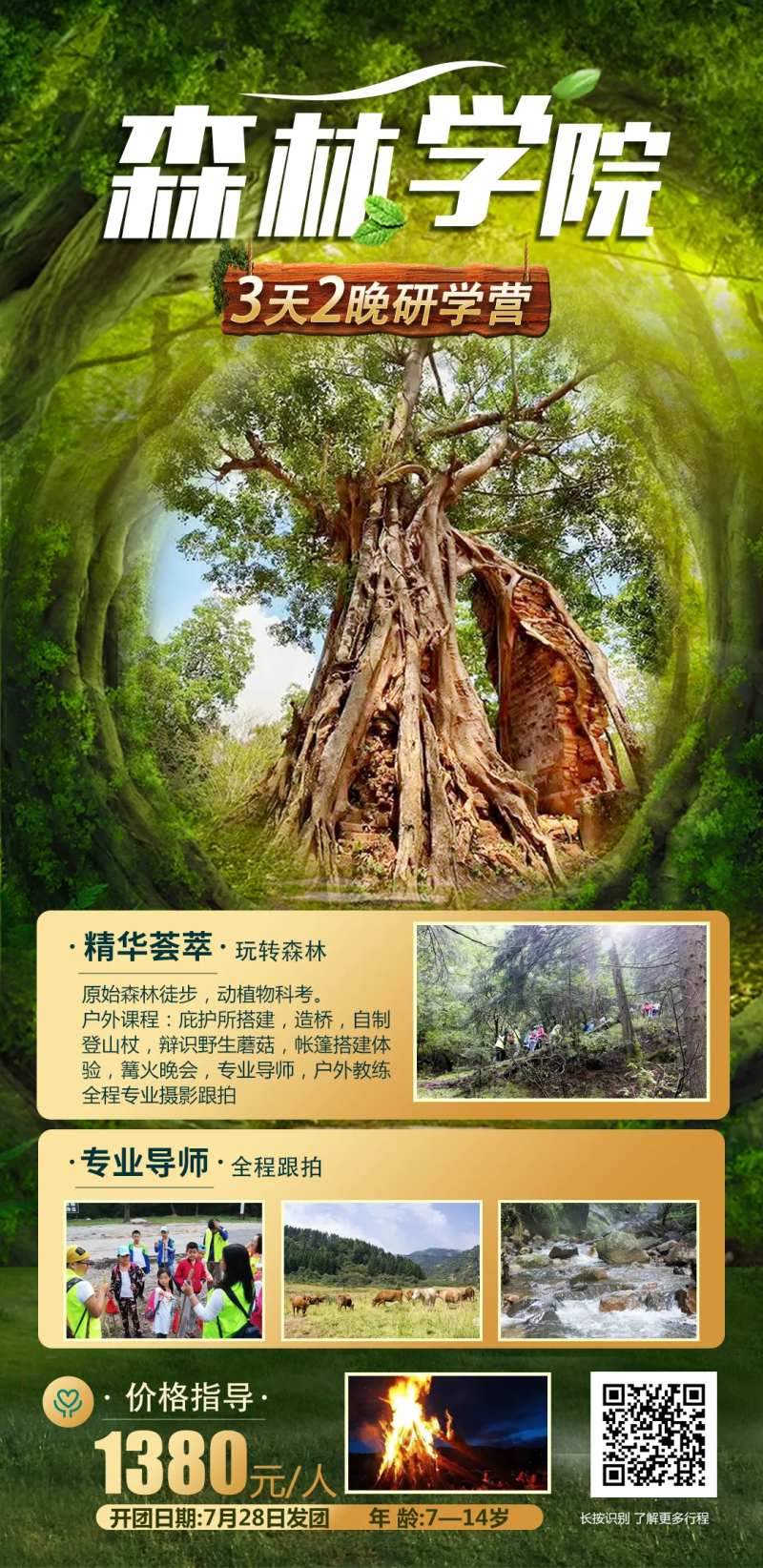 森林学院亲子夏令营海报-采灵感-cailinggan.com