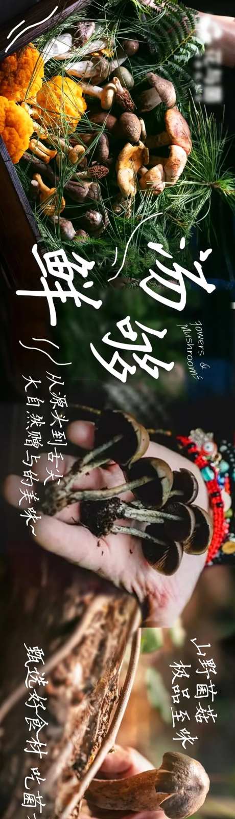 云南野生菌火锅五图-采灵感-https://www.cailinggan.com/