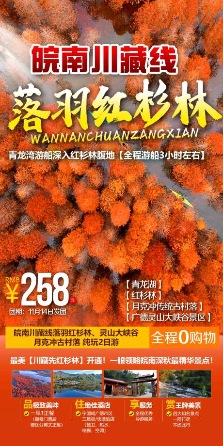 皖南川藏线落羽红杉林旅游海报-采灵感-https://www.cailinggan.com/
