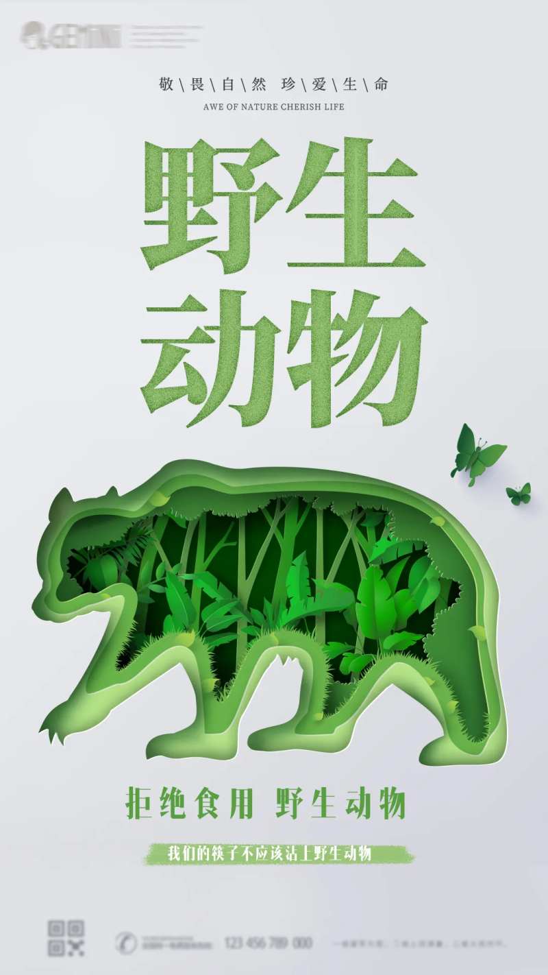 野生动物公益海报-采灵感-cailinggan.com