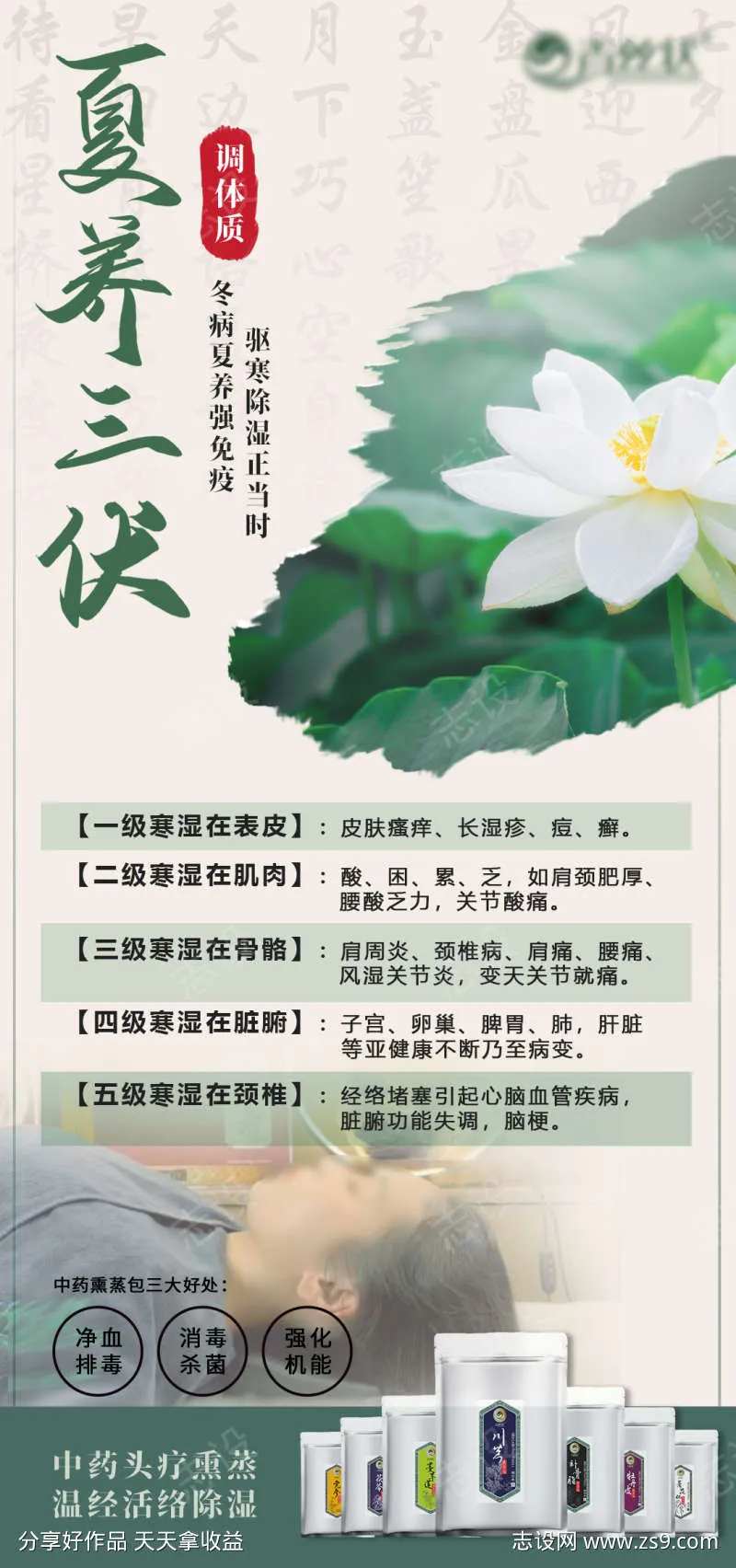 三伏养生海报-采灵感-cailinggan.com