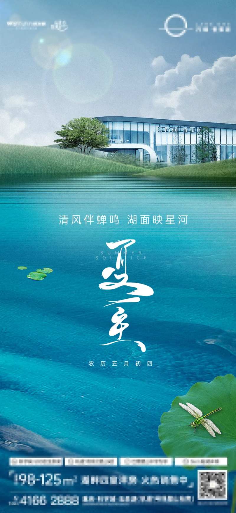 夏至节气海报-采灵感-cailinggan.com