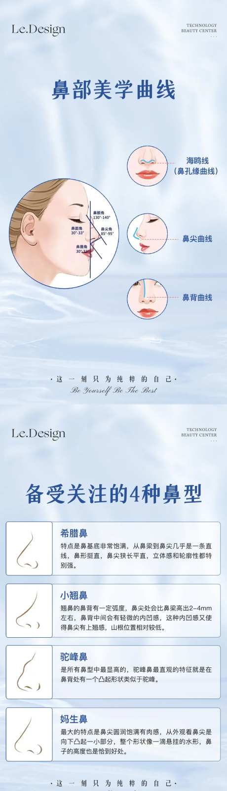 鼻部美学曲线海报-采灵感-https://www.cailinggan.com/