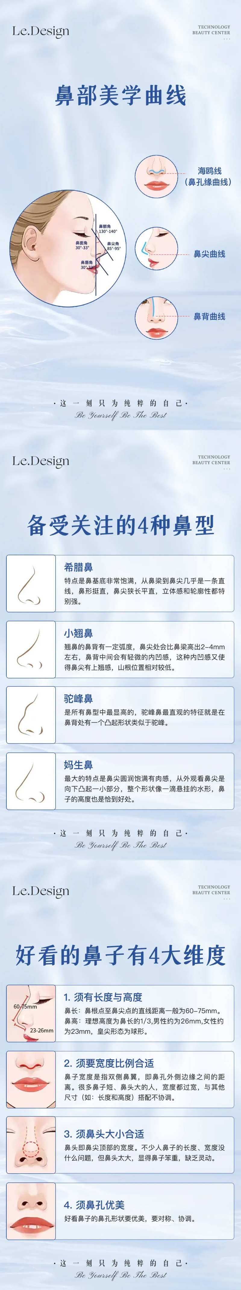 鼻部美学曲线海报-采灵感-cailinggan.com
