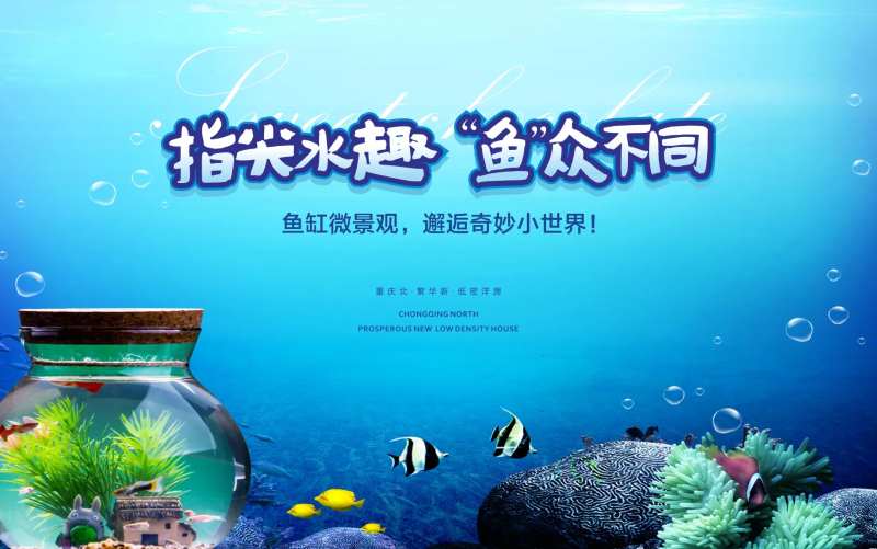 鱼缸微景观活动展板背景板-采灵感-cailinggan.com