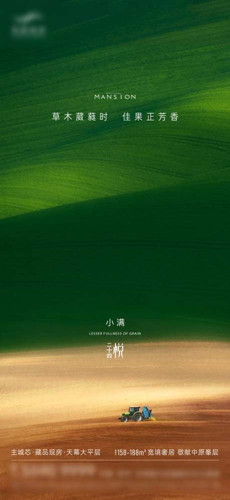 质感创意麦田小满节气-采灵感-https://www.cailinggan.com/