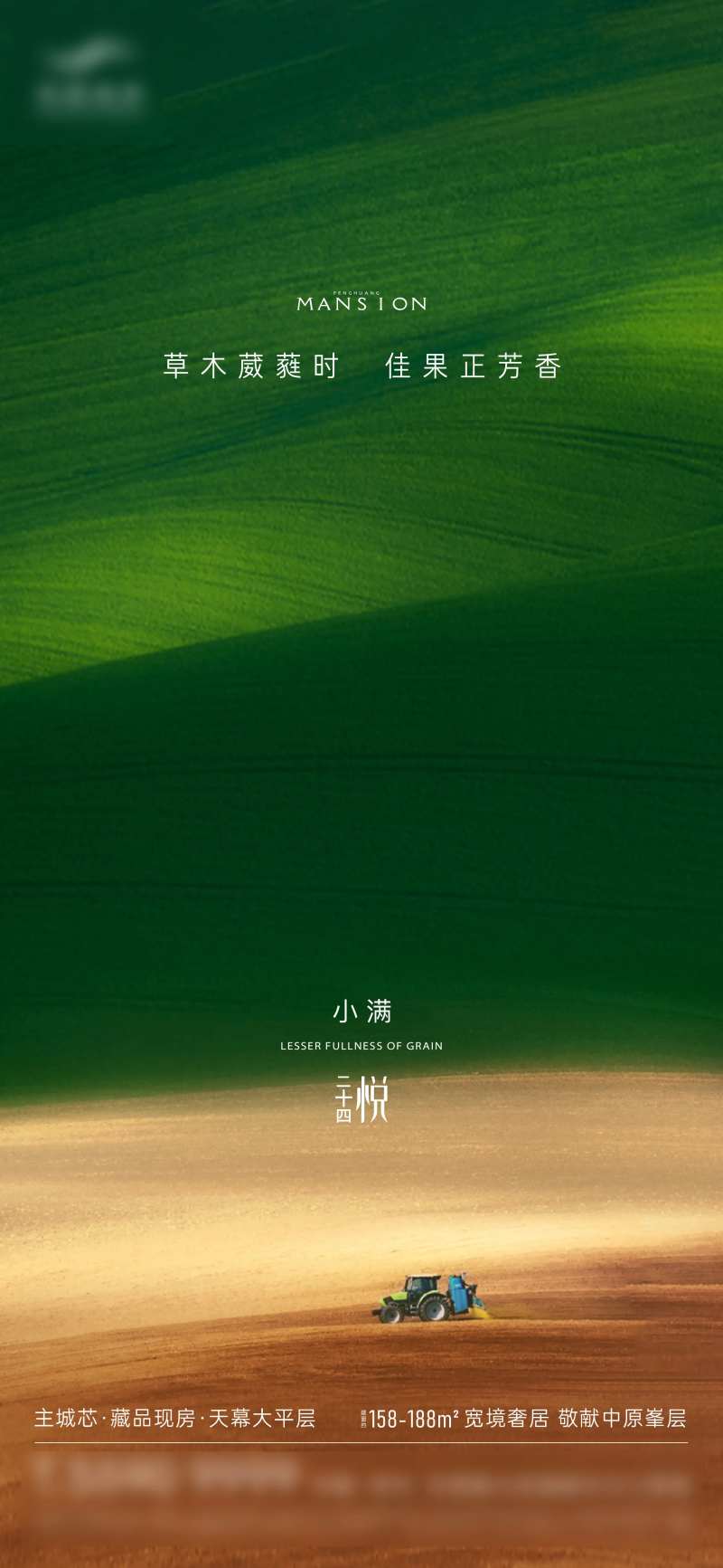 质感创意麦田小满节气-采灵感-cailinggan.com