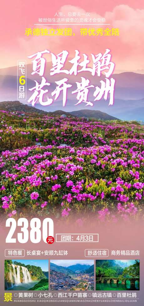 百里杜鹃花开富贵旅游海报-采灵感-https://www.cailinggan.com/