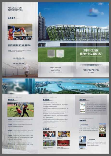 体育产业发展促进会三折页-采灵感-https://www.cailinggan.com/