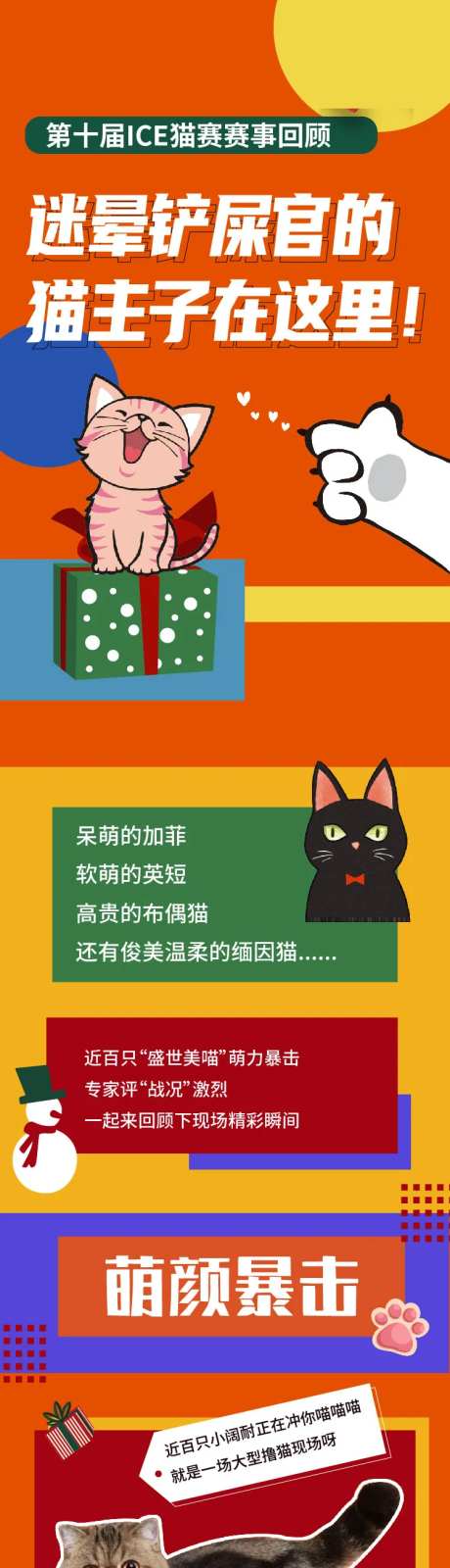 猫比赛回顾长图-采灵感-https://www.cailinggan.com/