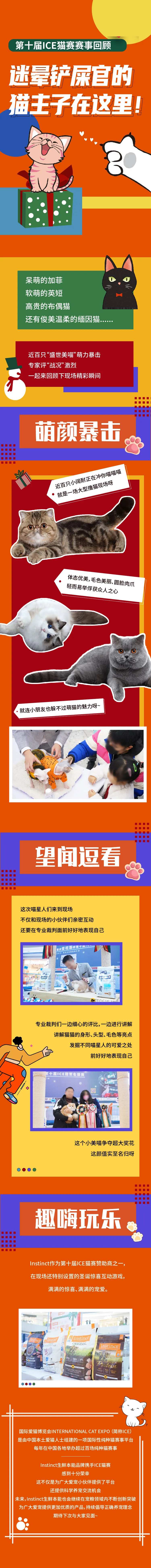 猫比赛回顾长图-采灵感-cailinggan.com