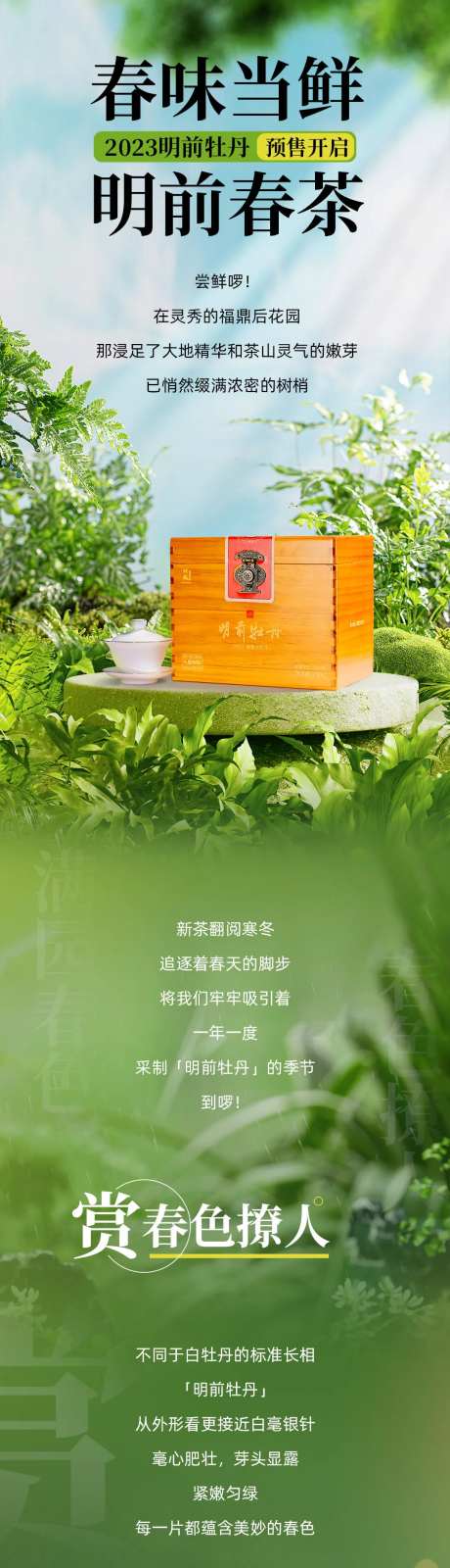 春茶详情页-采灵感-https://www.cailinggan.com/