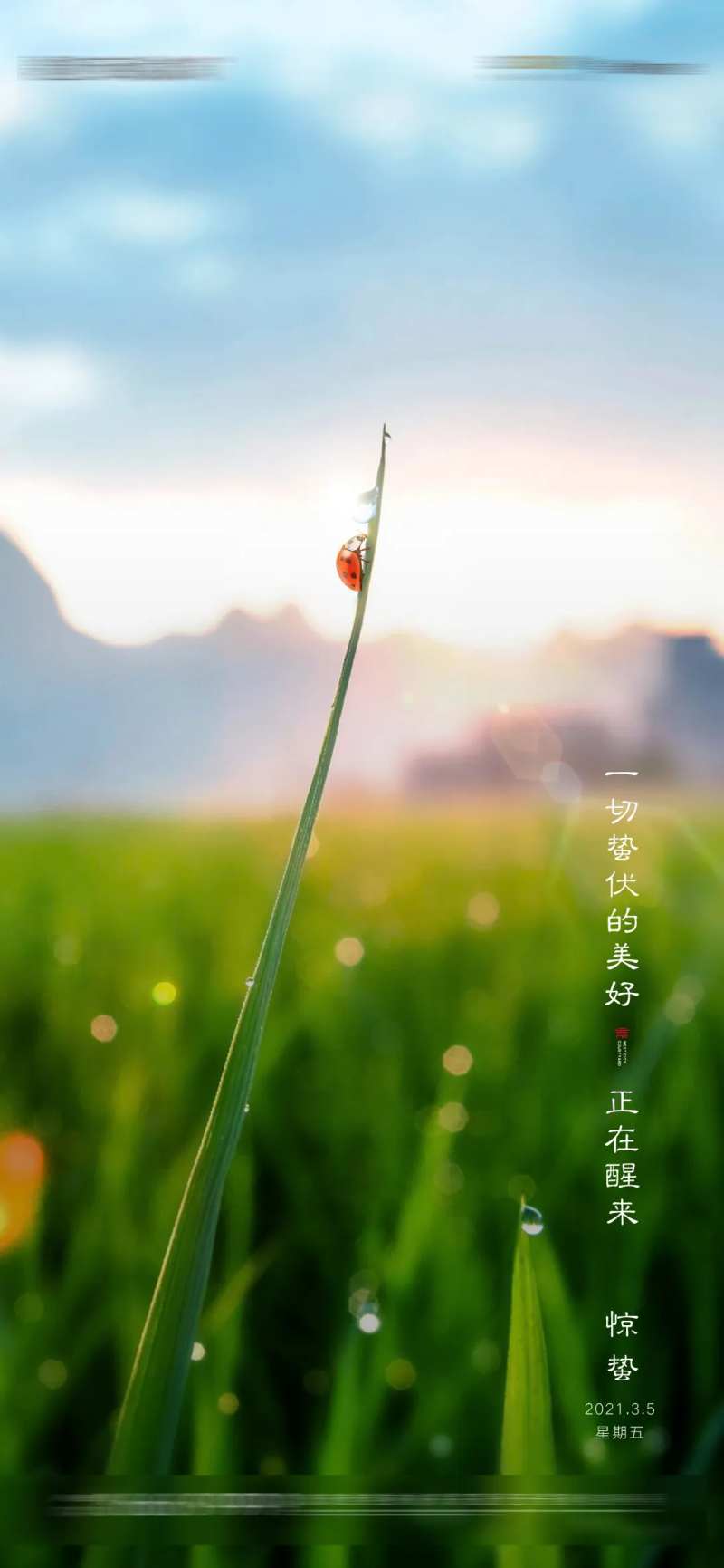 二十四节气惊蛰春分万物复苏微信海报-采灵感-cailinggan.com