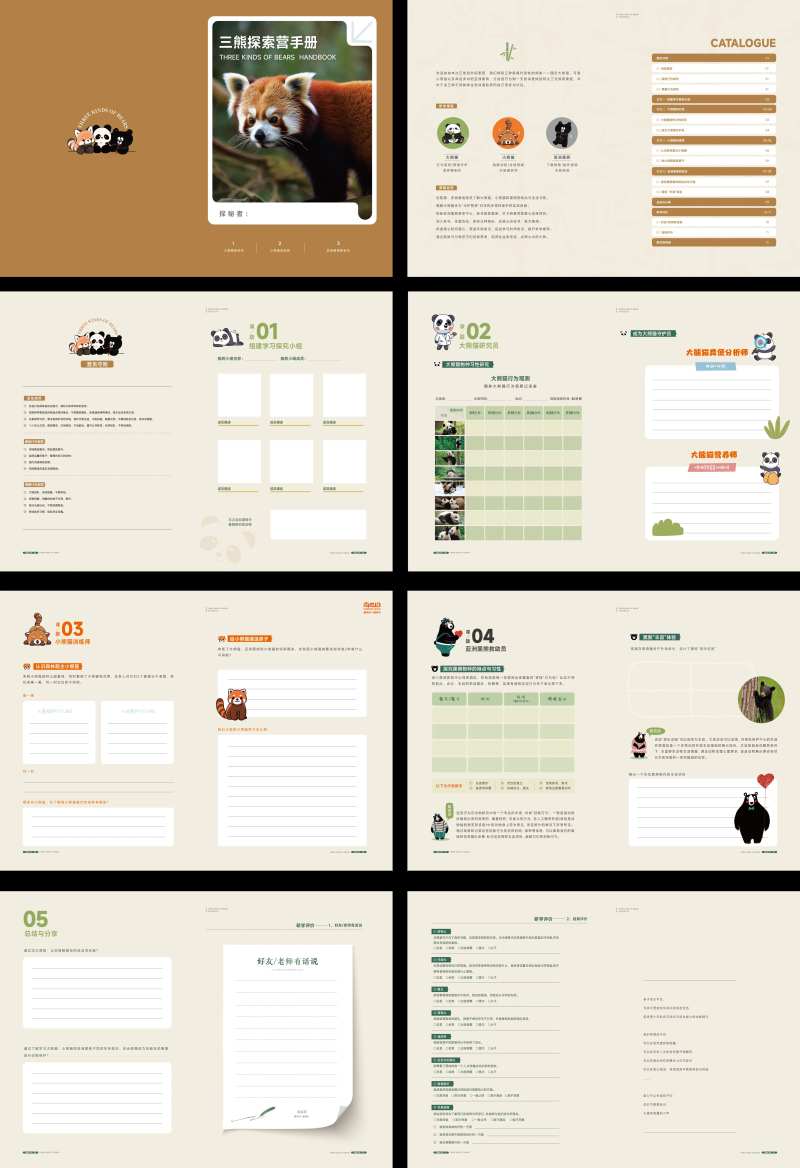 小熊猫研学手册-采灵感-cailinggan.com