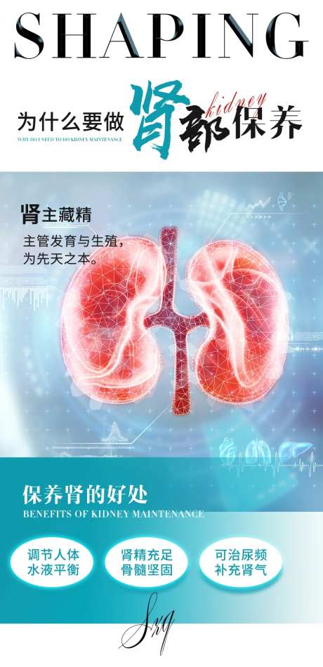 肾部保养海报-采灵感-https://www.cailinggan.com/
