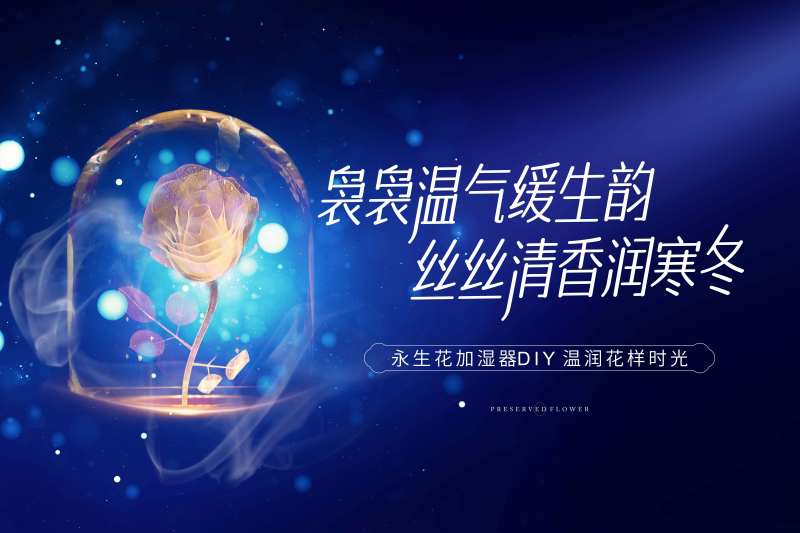 永生花加湿器DIY-采灵感-cailinggan.com
