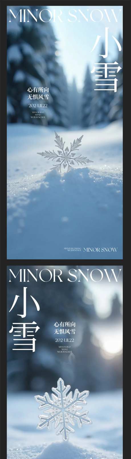小雪雪花特写海报-采灵感-https://www.cailinggan.com/