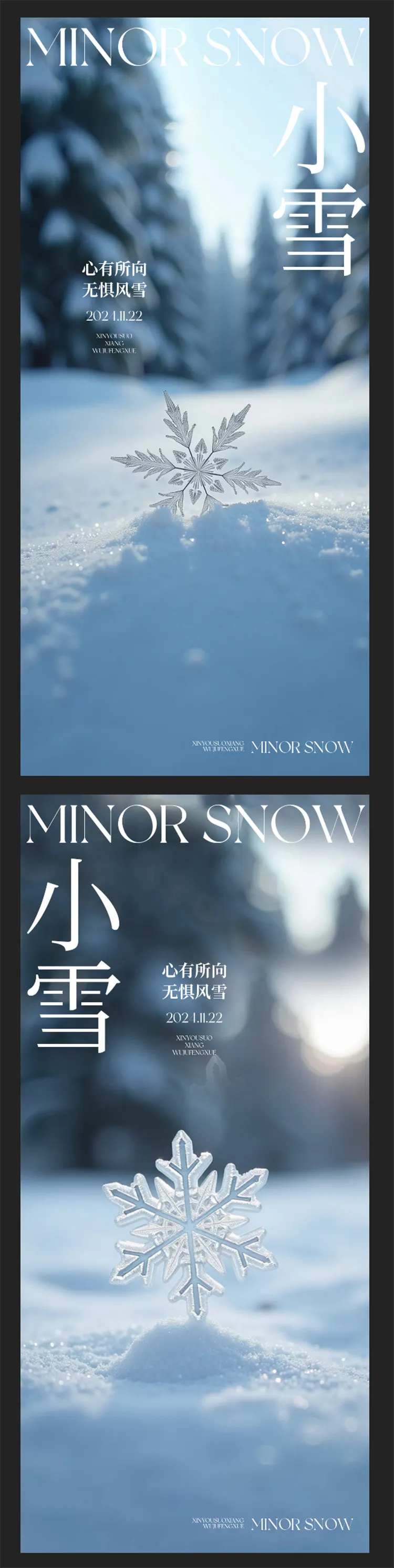 小雪雪花特写海报-采灵感-cailinggan.com