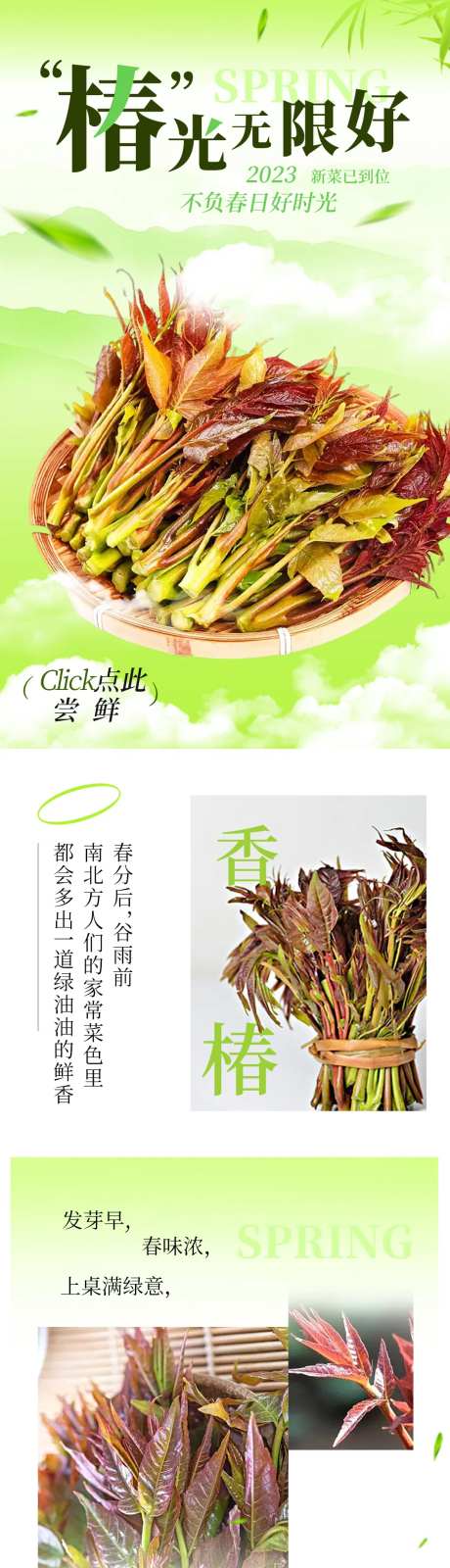 香椿春季食品餐饮公众号营销长图-采灵感-https://www.cailinggan.com/