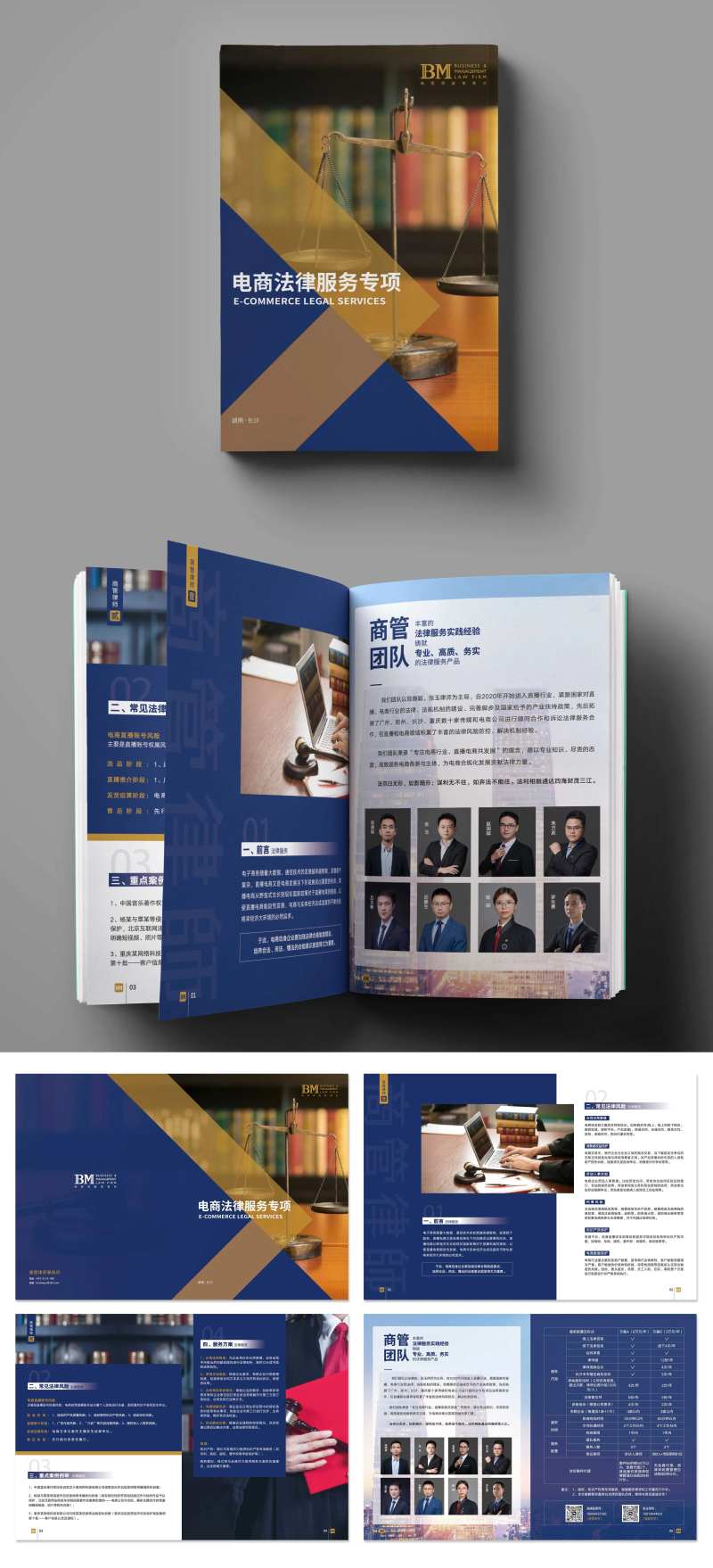 法律服务专项宣传画册-采灵感-cailinggan.com