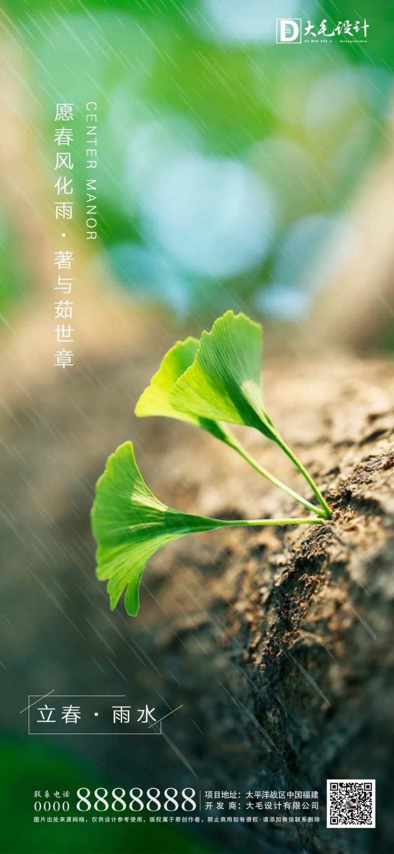 立春雨水节气移动端海报-采灵感-cailinggan.com