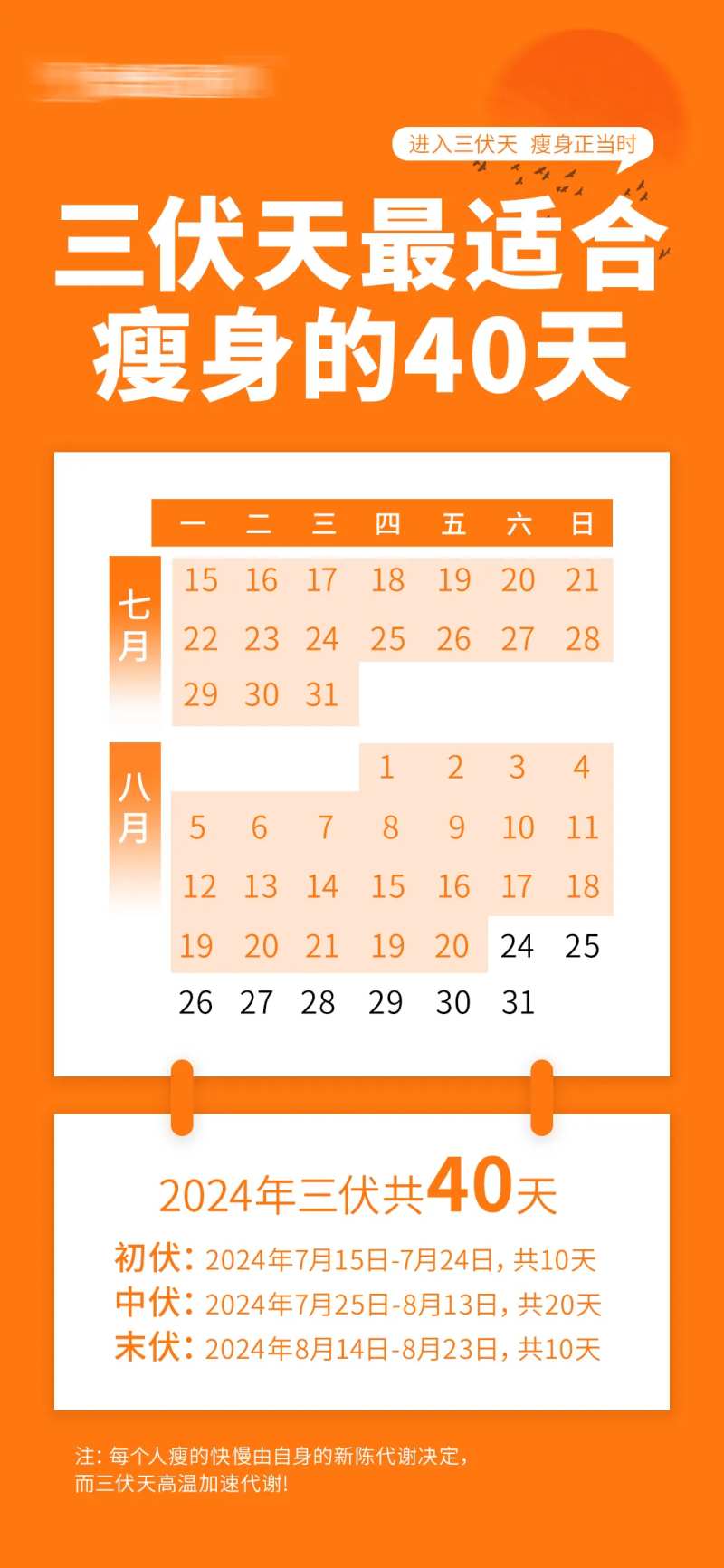 三伏养生日历表宣传海报-采灵感-cailinggan.com