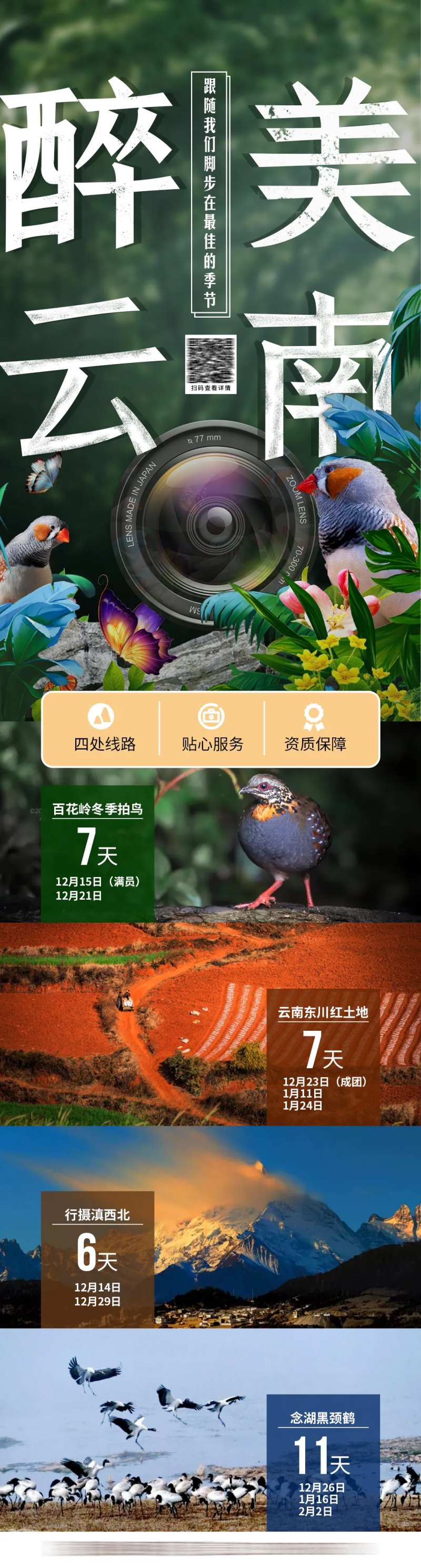 醉美云南-采灵感-cailinggan.com