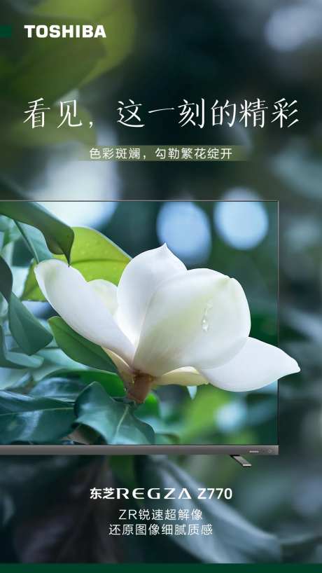 家电彩电海报-采灵感-https://www.cailinggan.com/