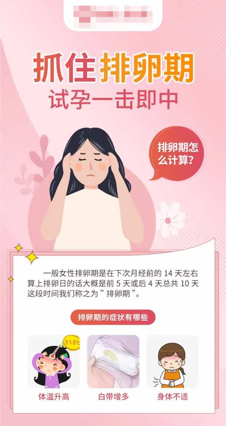 排卵期怎么计算海报-采灵感-https://www.cailinggan.com/