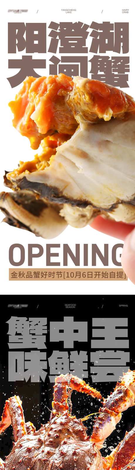 阳澄湖大闸蟹海报-采灵感-https://www.cailinggan.com/