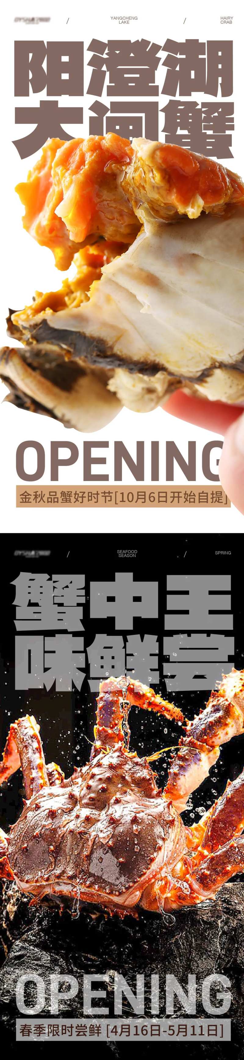 阳澄湖大闸蟹海报-采灵感-cailinggan.com