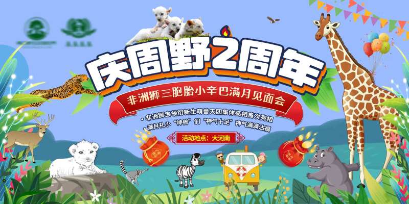 非洲狮见面会活动背景板-采灵感-cailinggan.com