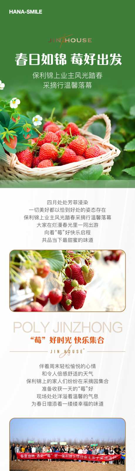 采摘草莓长图-采灵感-https://www.cailinggan.com/