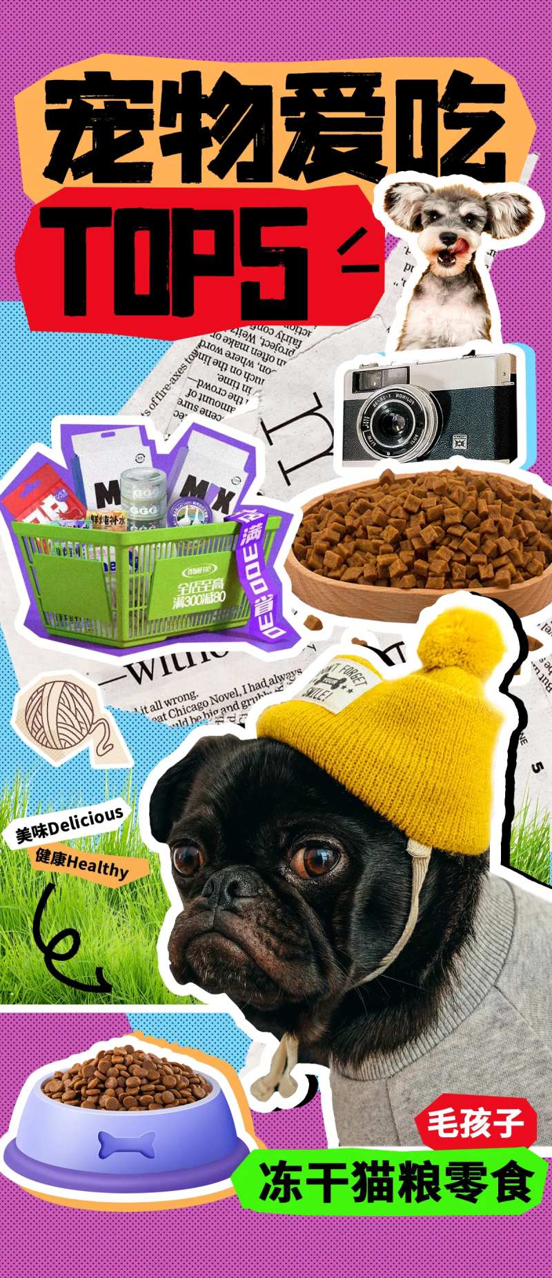 宠物狗粮猫粮好物推荐海报-采灵感-cailinggan.com