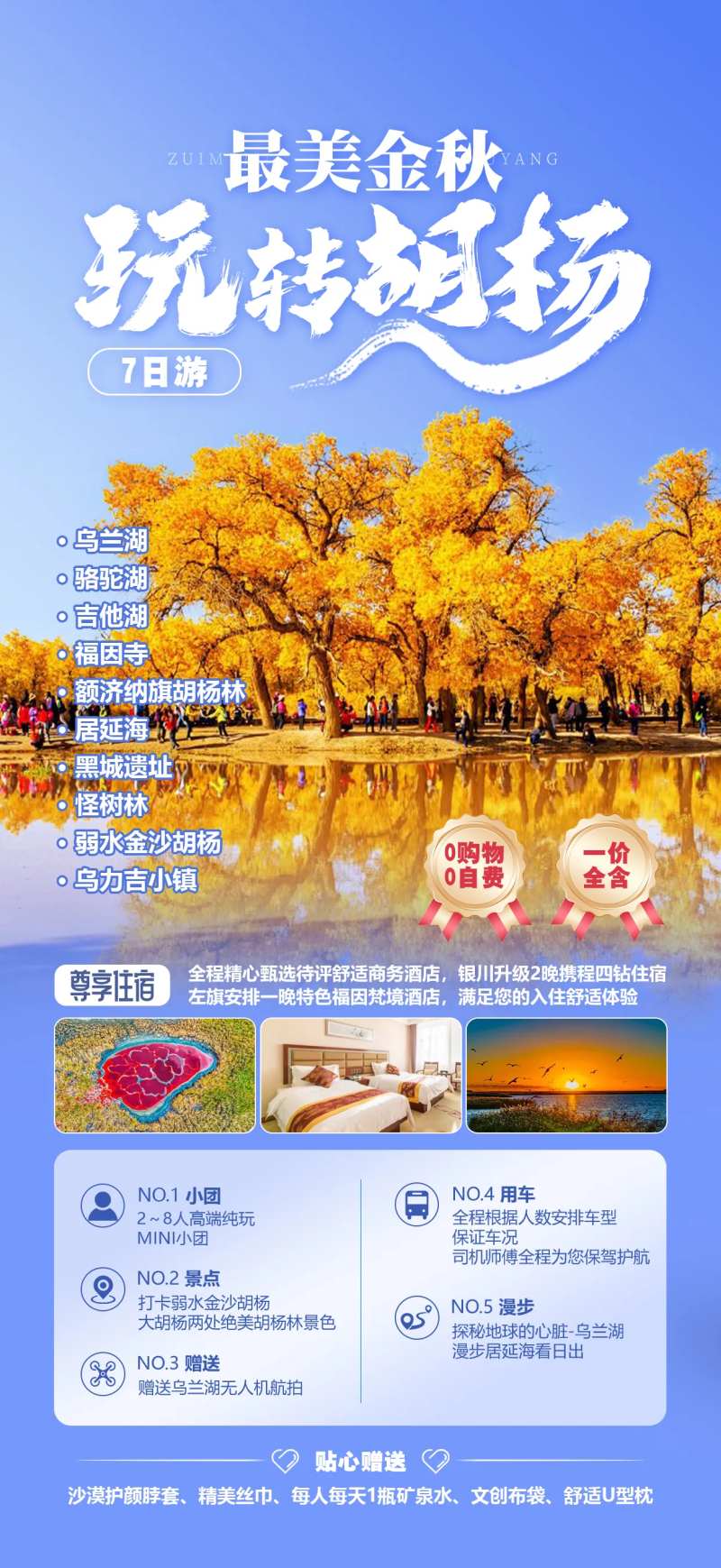 最美金秋玩转胡杨林-采灵感-cailinggan.com