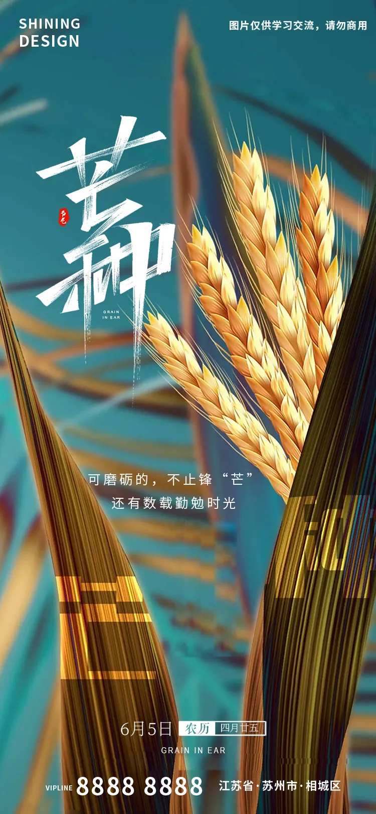 芒种高清麦子海报-采灵感-cailinggan.com