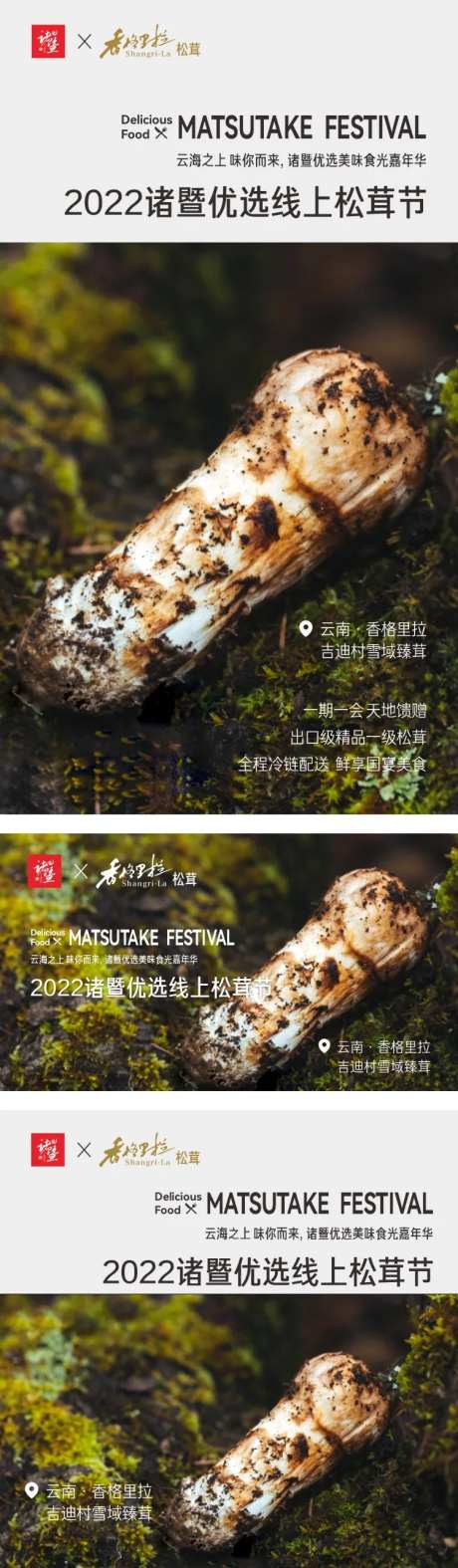 松茸美食节活动海报-采灵感-https://www.cailinggan.com/