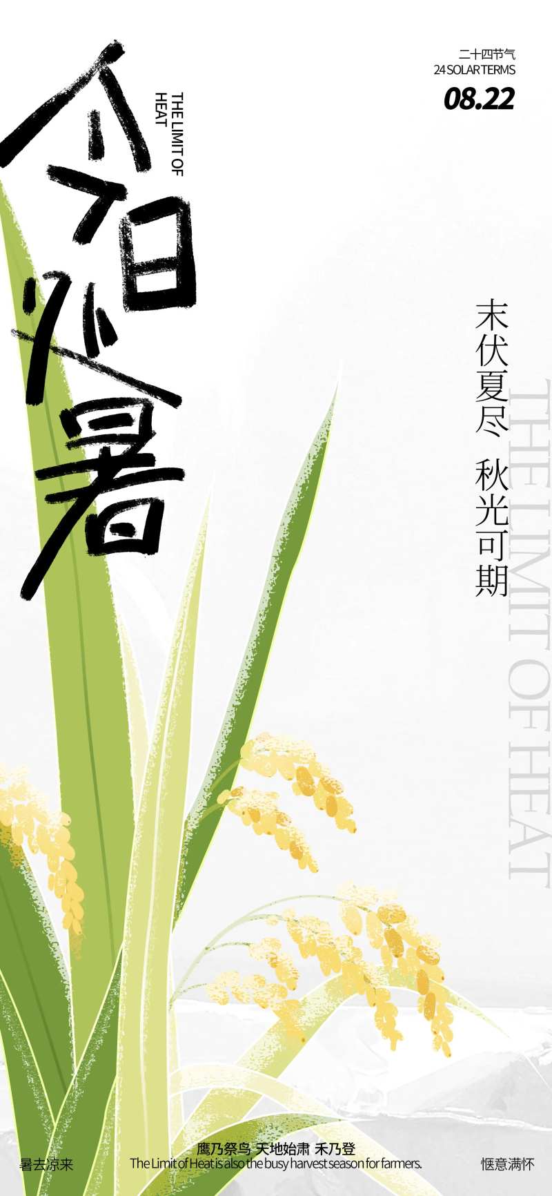 处暑节气稻谷海报-采灵感-cailinggan.com