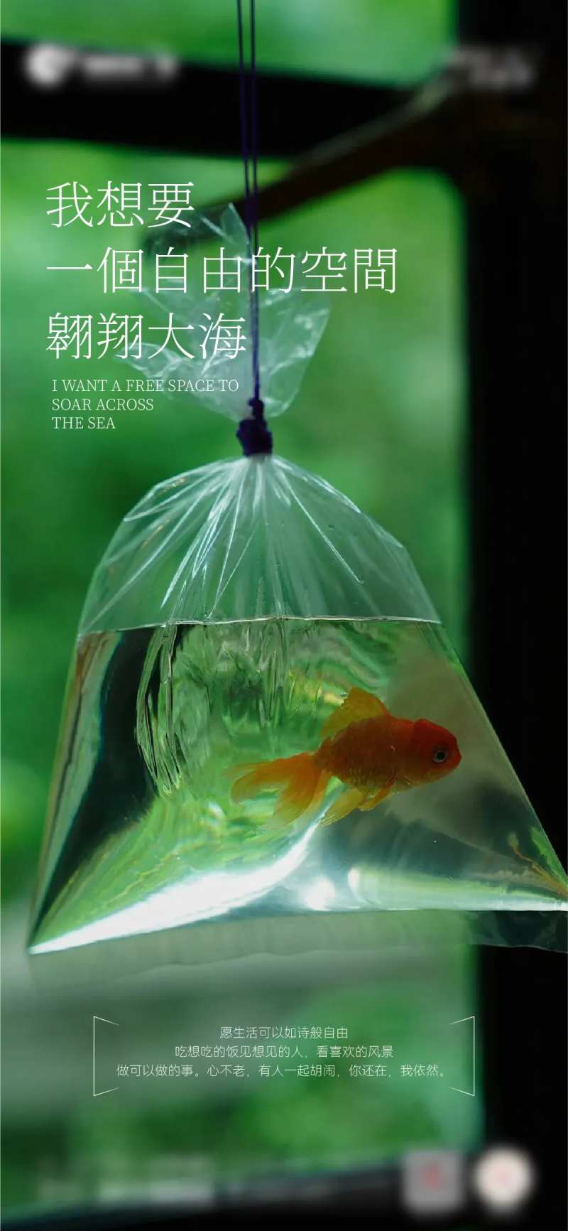 地产价值点宣传海报-采灵感-cailinggan.com
