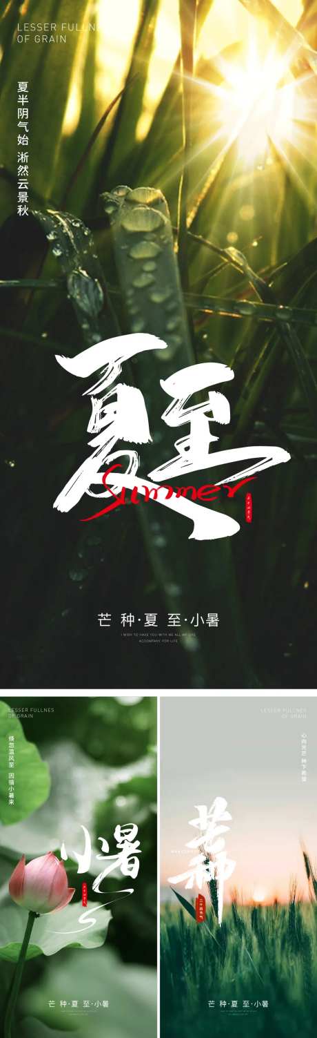 夏至 芒种 小暑节气海报-采灵感-https://www.cailinggan.com/