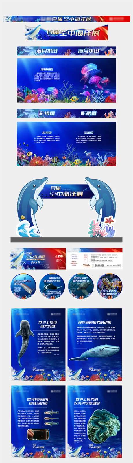 海洋展-采灵感-https://www.cailinggan.com/